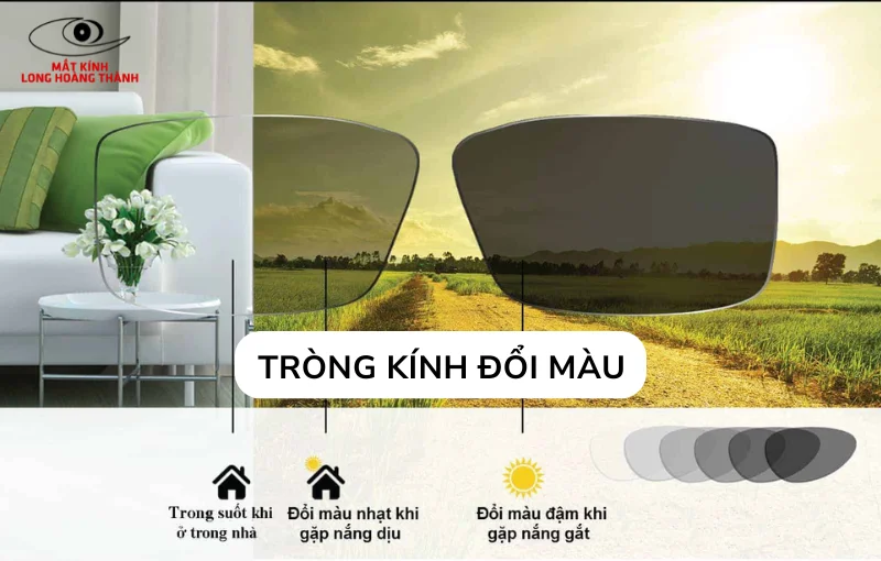 Bảng giá tròng kính cận đổi màu chính hãng Mắt kính Long Hoàng Thành