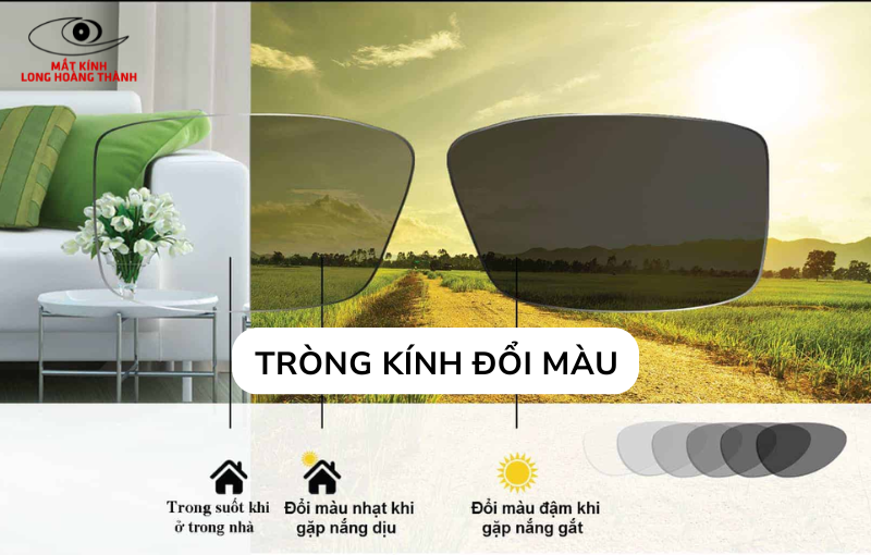 Bảng giá tròng kính cận đổi màu nam nữ chính hãng