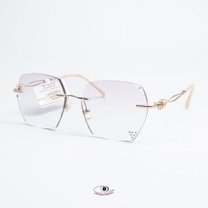 Gọng Kính Eyecare 66087
