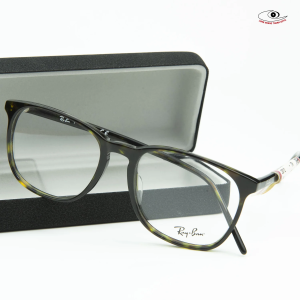Gọng Kính Ray-Ban RB 5387F 2012
