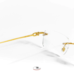 Gọng Kính Cartier CT0050O-001-CA1F38LG
